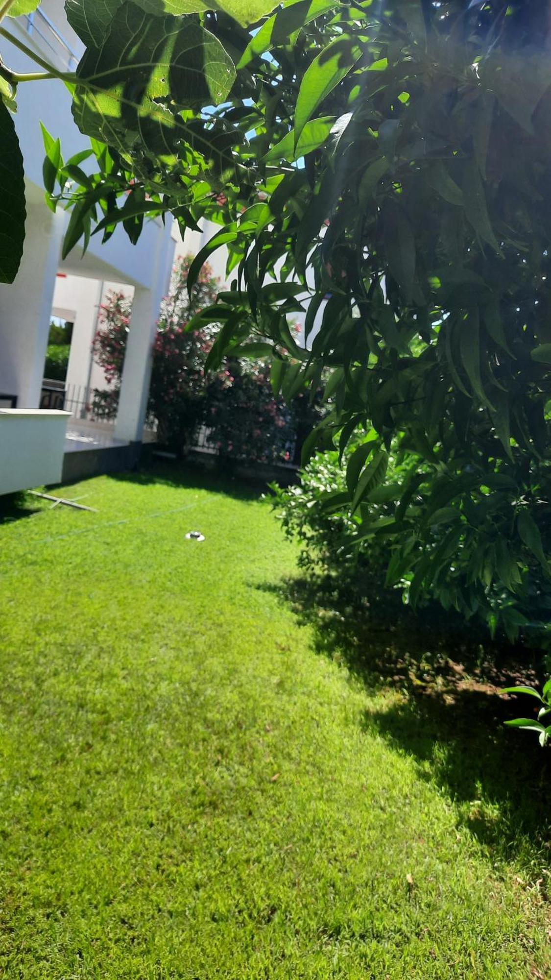 Apartmani Vila Milaris Ulcinj Exterior foto